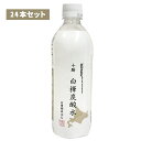 <予約販売:5月末頃入荷予定>【1ケース(24本)】 白樺炭酸水 500ml - 炭酸 炭酸水 飲料 白樺樹液 北海道 十勝 しらかば 日本製 健康 ダイエット...