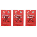 *正規販売代理店*<メール便>【3個セット】火災避難時補助商品 防煙ハンカチ 高機能7層フィルター 有毒ガスを除去 ※使用期限:2028年01月10日※ - ハンカチ 防煙ハンカチ 災害 対策 防災 火災 火事 避難 硫黄成分 大根キムチ発酵エキス トレハロース 送料無料