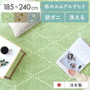 ラグ 洗える マット ラグマット 洗濯 ウォッシャブル 防ダニ シャギーラグ 日本製 カーペット 北欧 おしゃれ かわいい ホットカーペット対応 滑り止め おうち時間 低アレルゲン 安全 安心 敏感肌 長方形 日本製短毛シャギーラグ PONT〔ポント〕 185×240cm 長方形タイプ