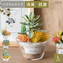 観葉植物 多肉植物 おしゃれ かわいい 人気 フェイクグリーン 人工観葉植物 人工 植物 消臭 抗菌 水やり不要 グリーン 緑 お手入れ不要 アンティーク 枯れ...
