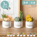 観葉植物 人工観葉植物 人工植物 人工 植物 消臭 抗菌 水やり不要 グリーン 緑 お手入れ不要 アンティーク 枯れない おしゃれ かわいい 人気 フェイクグリ...