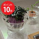 最大1000円offクーポンあり【ポイント10倍】 スパイス ベジラボガラス カップ Lサイズ KEGY2113 新生活 【】