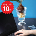 最大1000円offクーポンあり【ポイント10倍】 スパイス ベジラボガラス ベース KEGY2130 新生活 【】