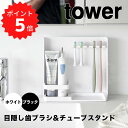 【ポイント5倍】 タワー tower 目隠し歯ブラシ&チューブスタンド 山崎実業株式会社 3505  ...