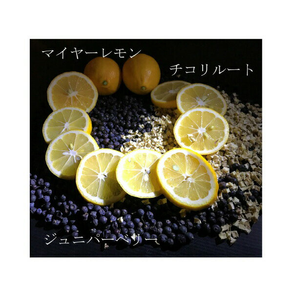 サントリー　ドライジン　エクストラ　1800ml