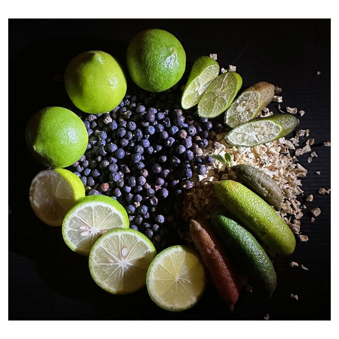 クラフトジン ナカツ ジン ライム4th 500ml 50% ライム 中津川蒸留所 サラダコスモ スピリッツ 国産ジン ライム 柑橘 爽やか 岐阜 中津川