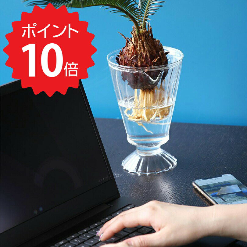 【ポイント10倍】【送料無料】 ベジ