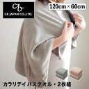 【ポイント10倍】 シービージャパン CBJAPAN カラリデイ バスタオル 2枚組 クラスアップ株式会社 392555 バスタオル 大判 タオル 吸水力 速乾...