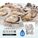 兵庫県室津産 ハーフシェルオイスター 殻付き牡蠣 生食用 10個入り［冷凍］ 【 送料無料 】【3～4営業日以内に出荷】【沖縄・離島配送不可】