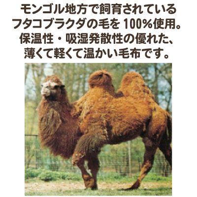 【送料無料】大阪泉州産　キャメル100％毛布　シングル　140×200cm【国産】【smtb-kd】