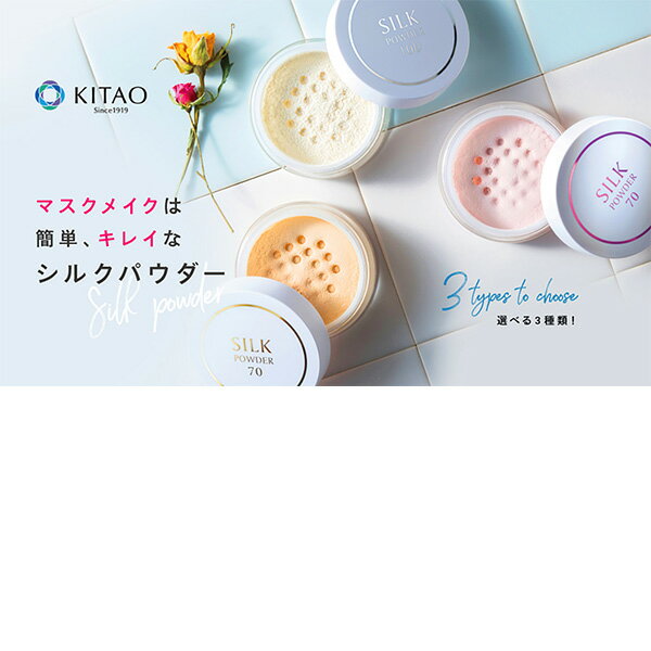 シルクパウダー100