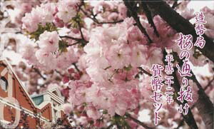 2010 平成22年大阪 桜の通り抜けミントセット