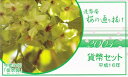 2004 平成16年大阪 桜の通り抜けミントセット