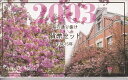 2003　平成15年大阪 桜の通り抜けミントセット