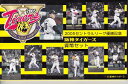 2005年セリーグ優勝記念阪神タイガース貨幣セット