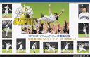 2006年パリーグ優勝記念北海道日本ハムファイターズ貨幣セット