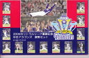 2006年セリーグ優勝記念中日ドラゴンズ貨幣セット