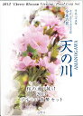 2013桜の通り抜け天の川　プルーフセット平成25年