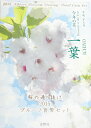 桜の通り抜け2015プルーフ貨幣セット 一葉 平成27年(2015年)