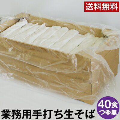 【業務用】 ※送料無料※信州・安曇野 手打生そば40食 つゆ無