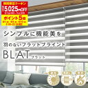 【最大5025円OFF】6/1 0:00〜6/11 9:59光・風・視線が調節できる羽のないフラットブラインド「BLAT」ブラット 遮光・防炎・日本製 サイズ:幅161〜200cm×丈81〜120cm 防炎ロールスクリーン(3)