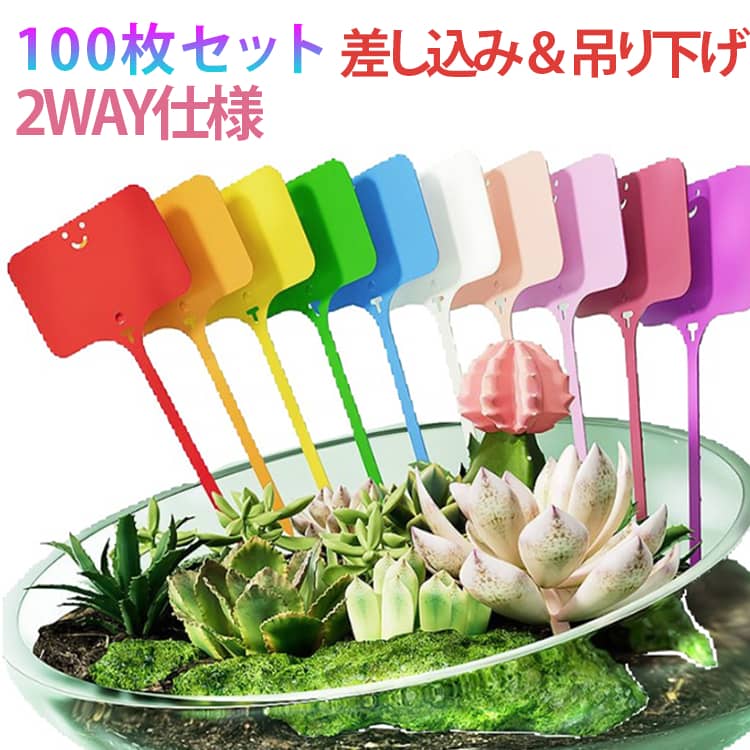 乐天商城 - 2WAY仕様 多肉 差し込み タグ 園芸ラベル ラベル 100枚セット タグ 100枚セット 花植物 ラベル 植物 プラスチック 花壇 鉢植 園芸用ラベル ネームプレート 種子名 ガーデニング ラベル 盆栽タグ 野菜 植物管理 盆栽 園芸用品