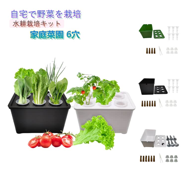 季節を問わず簡単に使用できる家庭菜園システムです。PP素材は優れた耐食性と耐水性を備えており、長期間使用しても変形や黄ばみが起こりにくいです。土壌、農薬、殺虫剤を一切必要とせず、清潔な水耕栽培を実現します。この水耕栽培キットは設置と操作が簡単で、初心者にも最適です。一年中いつでも新鮮な野菜、ハーブ、果物を育てる楽しみを味わえ、ご自宅で採れたての美味しさを楽しめます。ワイトの水耕栽培キットは、リビングの窓辺のアクセント、キッチンハーブガーデン、オフィスデスクの装飾、カフェのディスプレイとして、多様なシーンのニーズを満たします。 サイズ 6点セット サイズについての説明 サイズ：18*12*10.5cm セット内容：水耕ボックス+上蓋+育苗ポット+育苗ブロック+育苗キャップ+ピンセット ※測定方法によって誤差が生じますので、予めご了承下さい。 素材 PP 色 ホワイト ブラック グリーン 備考 ●サイズ詳細等の測り方はスタッフ間で統一、徹底はしておりますが、実寸は商品によって若干の誤差(1cm～3cm )がある場合がございますので、予めご了承ください。 ●製造ロットにより、細部形状の違いや、同色でも色味に多少の誤差が生じます。 ●パッケージは改良のため予告なく仕様を変更する場合があります。 ▼商品の色は、撮影時の光や、お客様のモニターの色具合などにより、実際の商品と異なる場合がございます。あらかじめ、ご了承ください。 ▼生地の特性上、やや匂いが強く感じられるものもございます。数日のご使用や陰干しなどで気になる匂いはほとんど感じられなくなります。 ▼同じ商品でも生産時期により形やサイズ、カラーに多少の誤差が生じる場合もございます。 ▼他店舗でも在庫を共有して販売をしている為、受注後欠品となる場合もございます。予め、ご了承お願い申し上げます。 ▼出荷前に全て検品を行っておりますが、万が一商品に不具合があった場合は、お問い合わせフォームまたはメールよりご連絡頂けます様お願い申し上げます。速やかに対応致しますのでご安心ください。