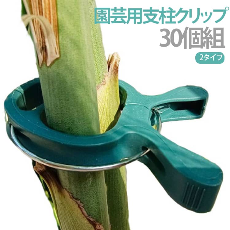 支柱クリップ 園芸用支柱クリップ 誘引クリップ 園芸クリップ 農業用品 植物固定クリップ 園芸用品 繰り返し使える 30個セット 30個セット 接木 家庭菜園 耐候性 固定 支柱 野菜 花 つる植物