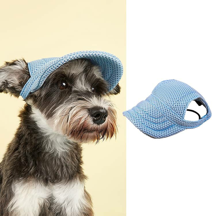 クレソンの犬用 犬 あご紐 帽子 帽子 2点入り ドッグハット 春 ペット用 服 犬 キャップ メッシュ生地 犬服 日よけ ハット 夏 おしゃれ 2点入り 熱中症対策 小型犬 熱中症対策 夏バテ 日射病 防止 予防 日除け 日よけ メッシュ 超小型犬｜アングル3
