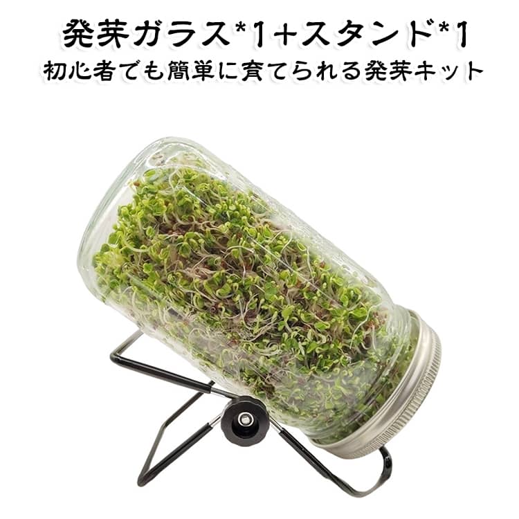 ガラス瓶 ジャー 種子発芽成長セット （発芽ガラス*1+スタンド*1）メイソン スプラウト栽培キット 種子 キッチン 保存瓶 2点セット ステンレス 整理 収納 フィルター蓋 2点セット 家庭で簡単 ブロッコリースプラウト 野菜 育てる 1000ml カフェ