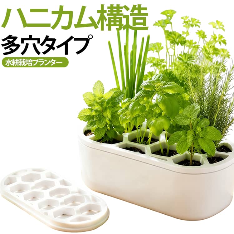 4点セット4点セットネギ栽培再生栽...