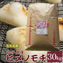 ヒメノモチ もち米 玄米 30kg 送料無料 岩手県産 令和2年産ひめのもち ひめのもち米 30キロ もち米玄米 もち米玄米30kg もち米玄米30キロ 糯米 精米前の米 精米前 岩手県 岩手 国産 暮坪米 ブランド米 農家直送 産地直送