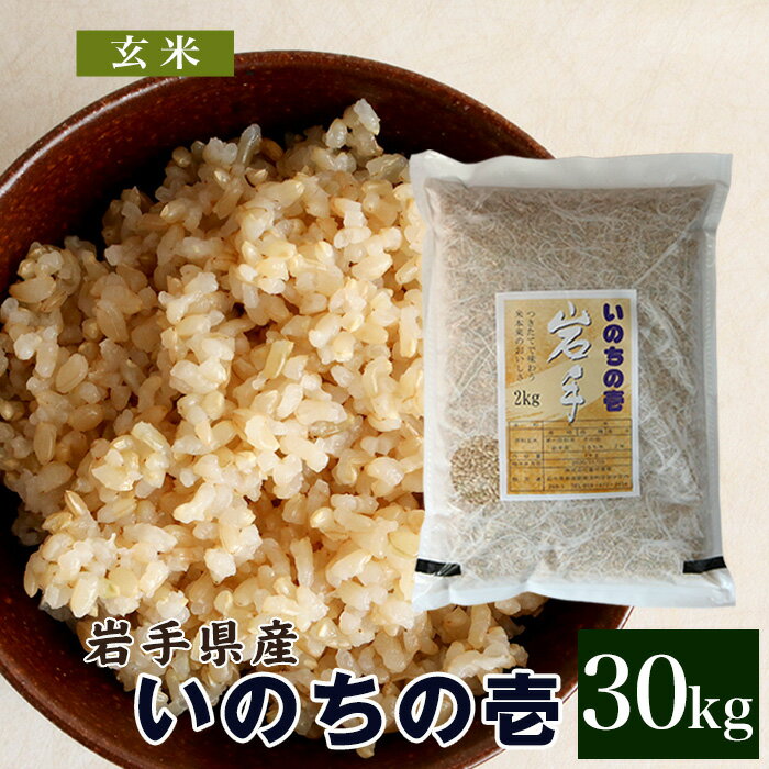 いのちの壱 玄米 30kg 