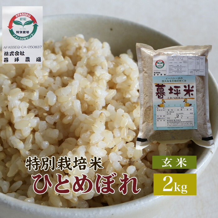 ひとめぼれ 玄米 2kg 特別栽培 まの 暮坪米 送料無料 岩手県産 令和5年産特別栽培米 米 お米 おこめ 2キロ 玄米2kg 玄米2キロ 精米前の米 精米前 岩手県 岩手 国産 ブランド米 農家直送 産地直送