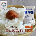 ひとめぼれ 米 白米 10kg 特別栽培 まの 送料無料 岩手県産 令和5年産 暮坪米特別栽培米 お米 おこめ 10キロ 米10kg 米10キロ 岩手県 岩手 国産 精米 ブランド米 農家直送 産地直送