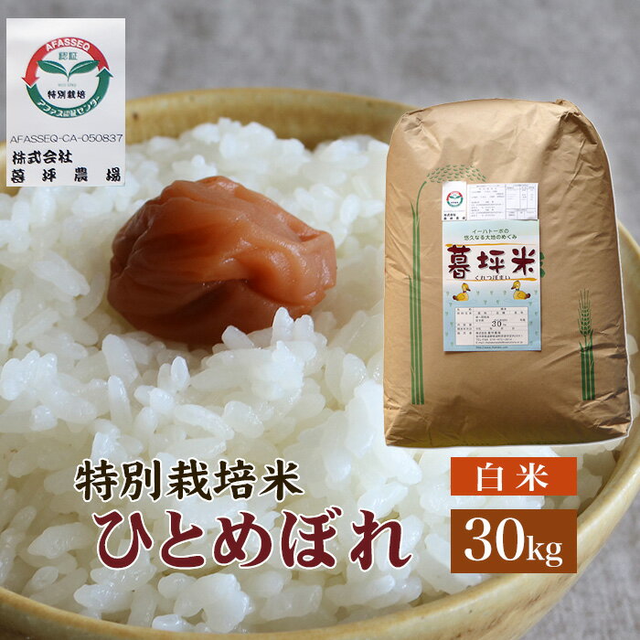 ひとめぼれ 米 白米 30kg 特別栽培 まの 送料無料 岩手県産 令和3年産 暮坪...