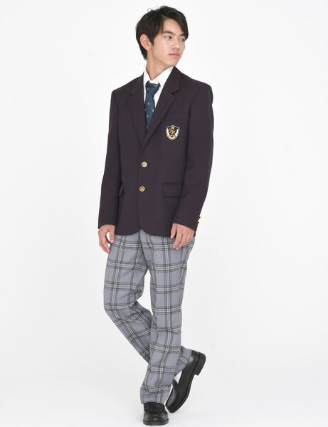 [ENLISION] ビジネス紺 ネクタイ ペイズリー 柄 チーフ セット メンズ シルク ブランド 結婚式 就活 入学式 冠婚葬祭 高級 TP711V8S