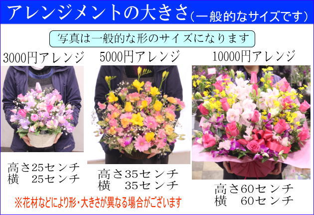 当店人気 送料無料 誕生日 父の日 お中元 誕生日 結婚記念日 13 おまかせ レッド系 花束 花ギフト誕生日 誕生日 父の日 お中元 誕生日 送料込 Carlavista Com 当店人気 送料無料 誕生日 父の日 お中元 誕生日 結婚記念日 13 おまかせ レッド系 花束 花ギフト誕生日 誕生日 父の日 お中元 誕生日 送料込 Carlavista Com