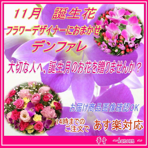 11月　誕生花　デンファレおまかせアレンジ【送料無料・あす楽・誕生日・花・アレンジ・デンファレ」・プレゼント・誕生花】のサムネイル