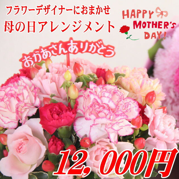 カーネーション  フラワーアレンジメント 【遅れてごめんね】母の日ギフト デザイナーにおまかせフラワー12,000円【母の日 母親 お母さん おばあちゃん 祖母 30代 40代 50代 60代 70代 カーネーション フラワー アレンジメント 送料無料】