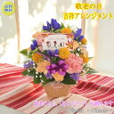 早割中 敬老の日 吉祥アレンジメント 【 早割 敬老の日 プレゼント 敬老の日ギフト 孫 花 アレンジメント 送料無料 ギフト お花 リンドウ 送料無料 おじいちゃん おばあちゃん 孫 60代 70代 80代 祖父 祖母 竜胆 】