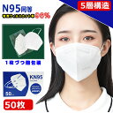 KN95 マスク マスク 業