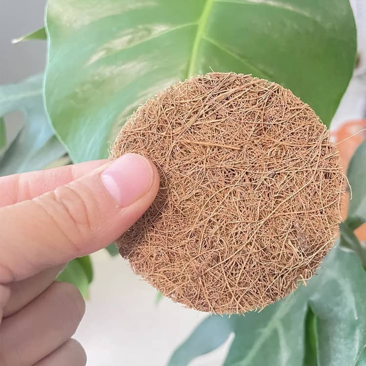 円盤 植木鉢 防虫 円形 マット 7/10/15cm 10枚 鉢底マット 通気性 土漏れ防止 10枚...
