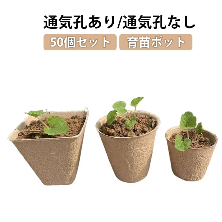 育苗箱 50個セット 育苗ポット キュウリ 紙 50個セット 角型 植木鉢 植物栽培 パル...