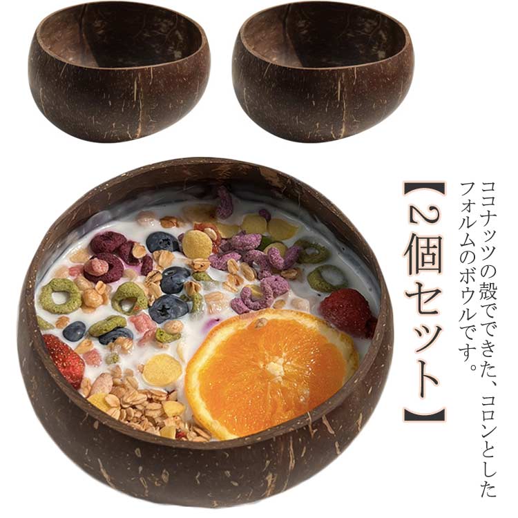 お椀 2個セット 食器 ココナッツのボウル ココナッツボウル ココナッツ デザート サラダボウル アクセ..