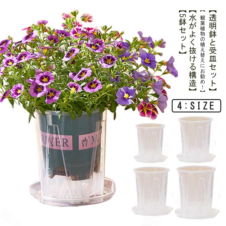 植木鉢 受皿付き 5鉢セット 人気 クリア 根が見える鉢 多肉植物 観葉植物の植え替え 観葉植物の鉢 排水穴付き 透明 根腐れ防止 通気性 プラスチック おしゃれ 蘭の鉢 根が見える鉢 植え替え 室内 室外 シンプル 胡蝶蘭 直径10cm 12cm 14cm 鉢