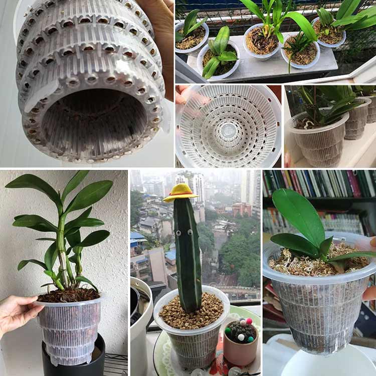 ����ȭ ����ȭ ��ĳ���ο����ؤ� ��ĳ������ ȭ ¿�귿 ľ��12cm ��ĳ������ ������ɻ� �̵���ȴ�� ľ��15cm �ӿ���դ� �ץ饹���å� 3ȭ���å� ������� ���տ�ʪ��ȭ Ʃ�� ���ꥢ ����������ȭ ¿����ʪ ���� �����դ�