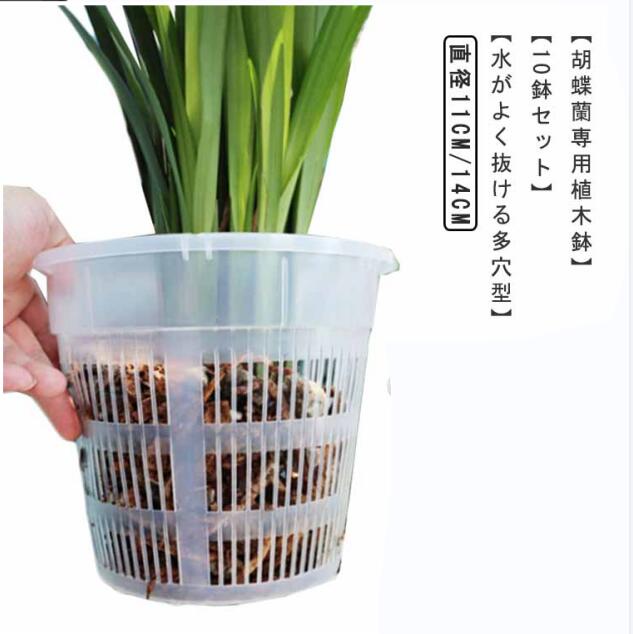Rakuten - 10鉢セット オーキッドポット 穴付き 透明 植木鉢 プラスチック 屋外 屋内 保育園ポット 鉢 蘭の鉢 胡蝶蘭の植え替え 観葉植物 植木鉢 多肉植物 洋蘭 胡蝶蘭 プランター 胡蝶蘭