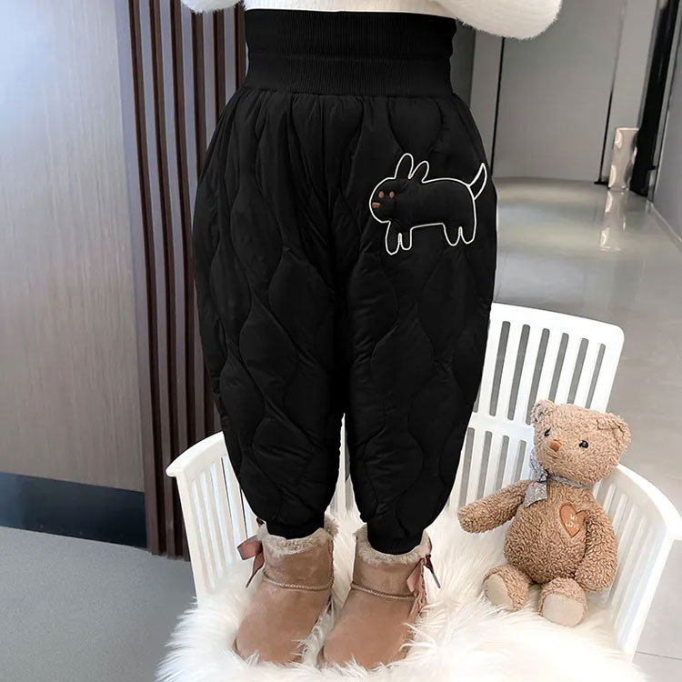 ディズニー 内ポケット付きフラット巾着 DN-5530121CD / チップ＆デール