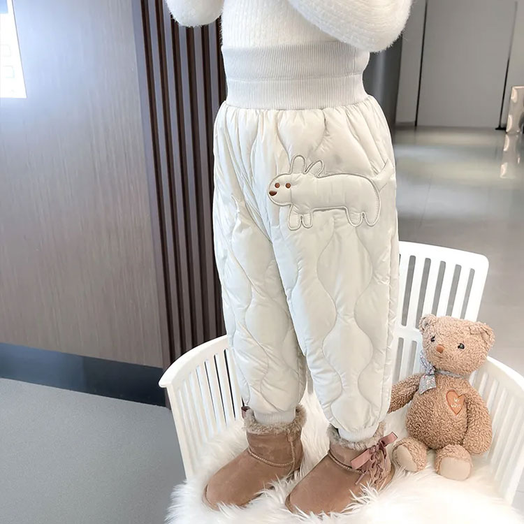 ディズニー 内ポケット付きフラット巾着 DN-5530121CD / チップ＆デール